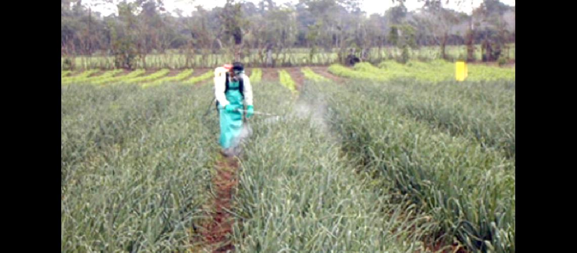  La provincia de Jujuy se sumoacute al Registro de Aplicadores de Productos Fitosanitarios