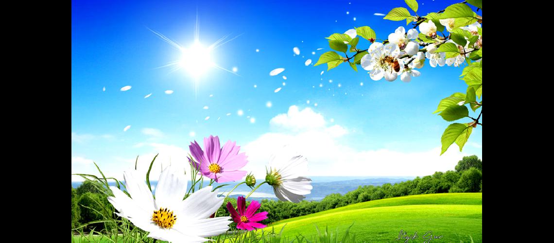 La primavera es la mejor estacioacuten del antildeo