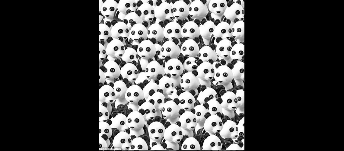 iquestPodes encontrar al perro entre los osos pandas
