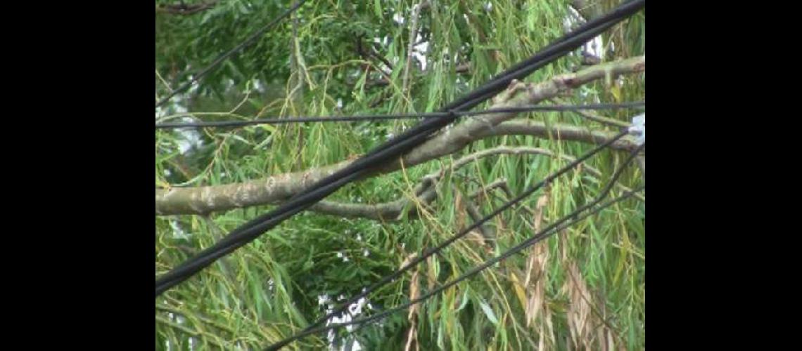 Recibioacute letal descarga eleacutectrica en Riacuteo Blanco