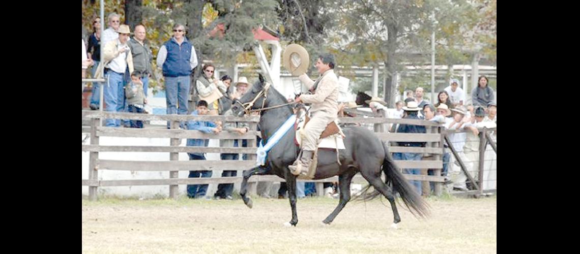 Se viene el tercer concurso  departamental de caballos  peruanos en Metaacuten