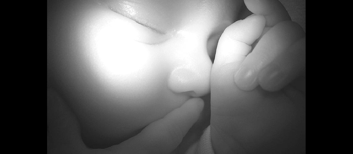 Ceacutelulas madre claves en la regeneracioacuten muscular