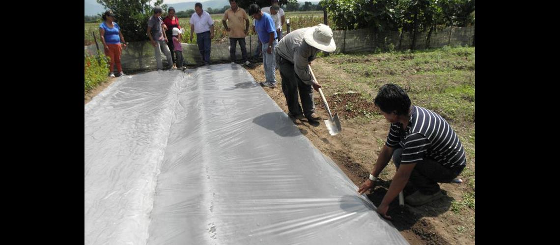 Aplican tecnologiacutea en  la floricultura jujentildea