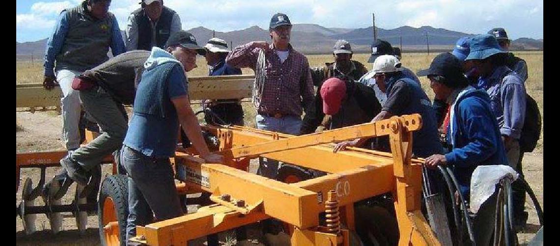 Produccioacuten de frutos secos en Jujuy  