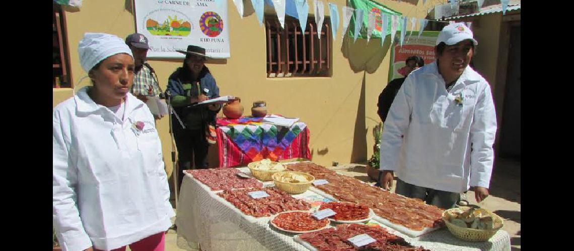 Fortalecen la cadena de  valor de la carne de llama  