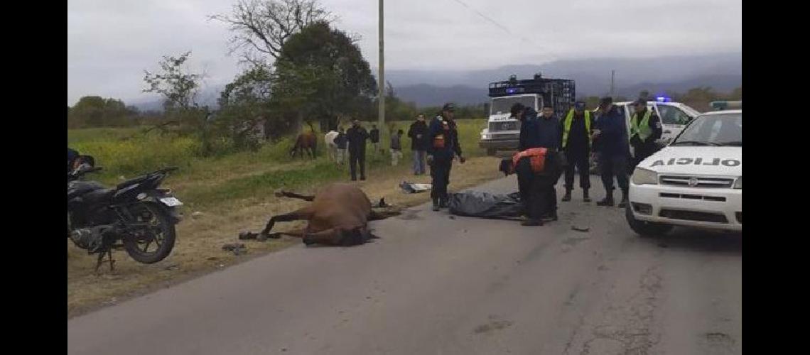 Un caballo suelto causa la muerte de un motociclista