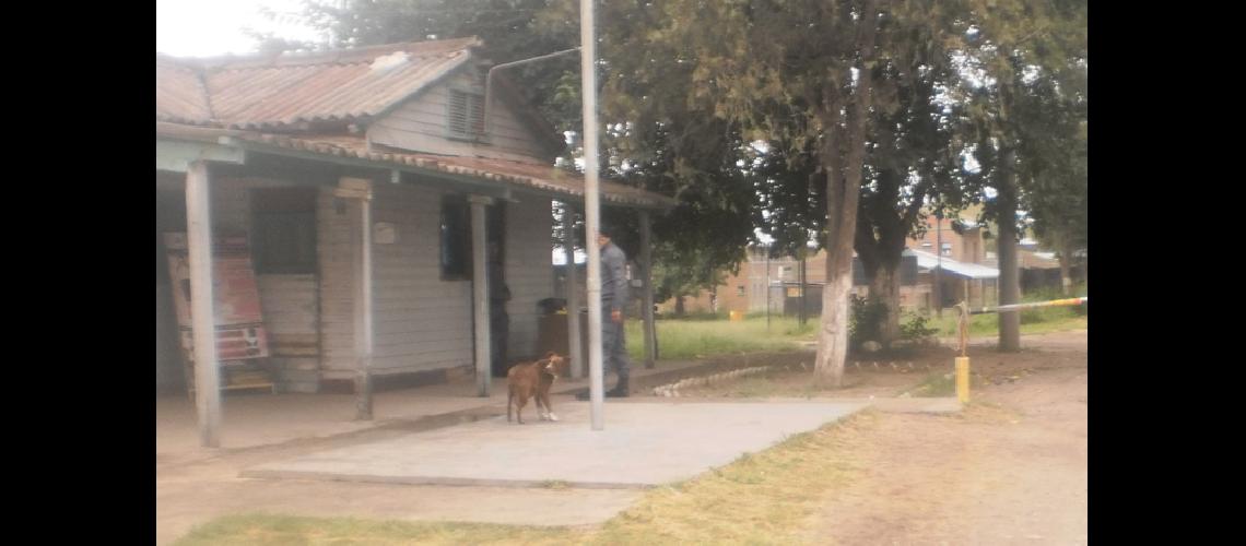 Fiscaliacutea pediraacute videos de las caacutemaras de seguridad