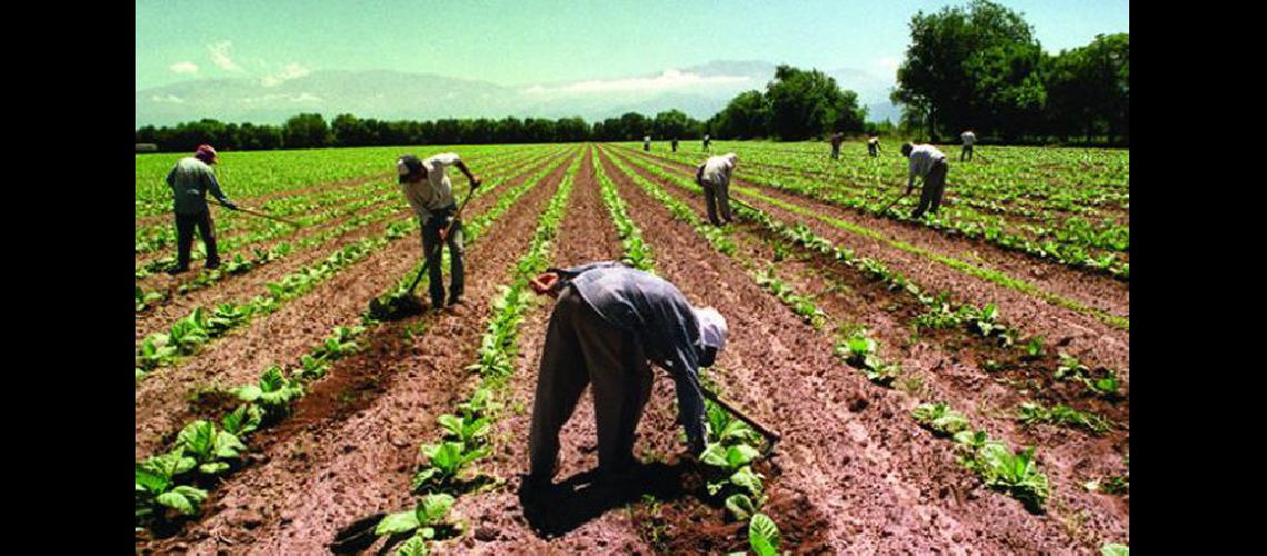 Diacutea del Trabajador  Rural