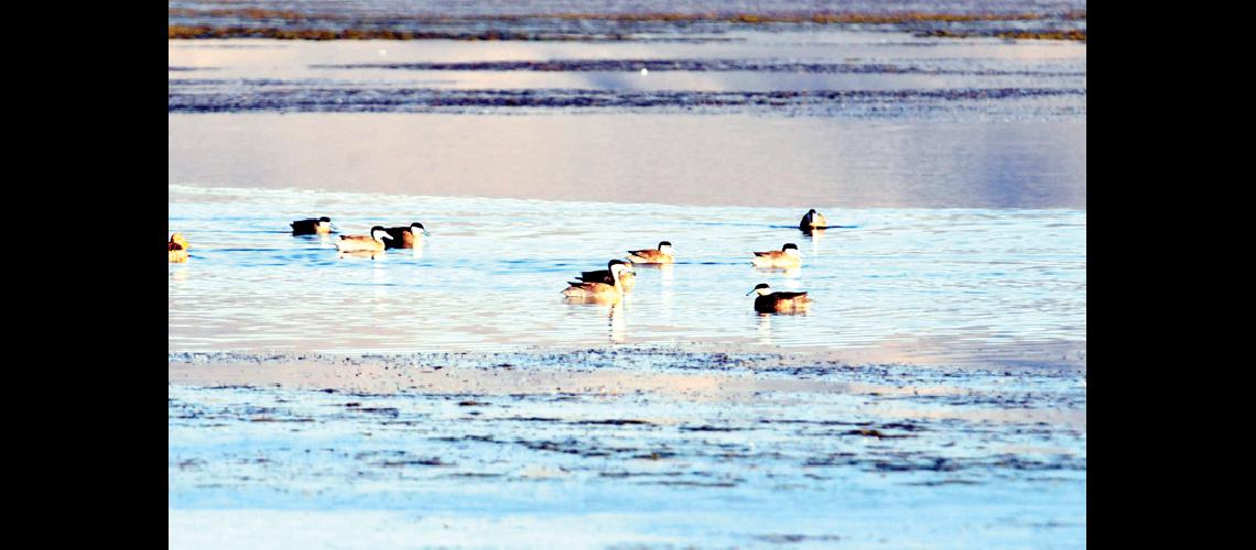 Un espejo de agua en  medio de la Puna jujentildea