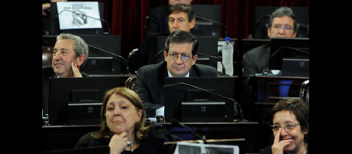Senado aproboacute proyecto que establece paridad de geacutenero