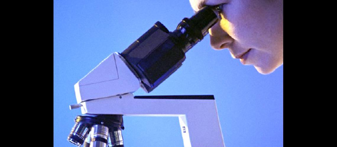 La importancia  de conocer el  Microscopio 