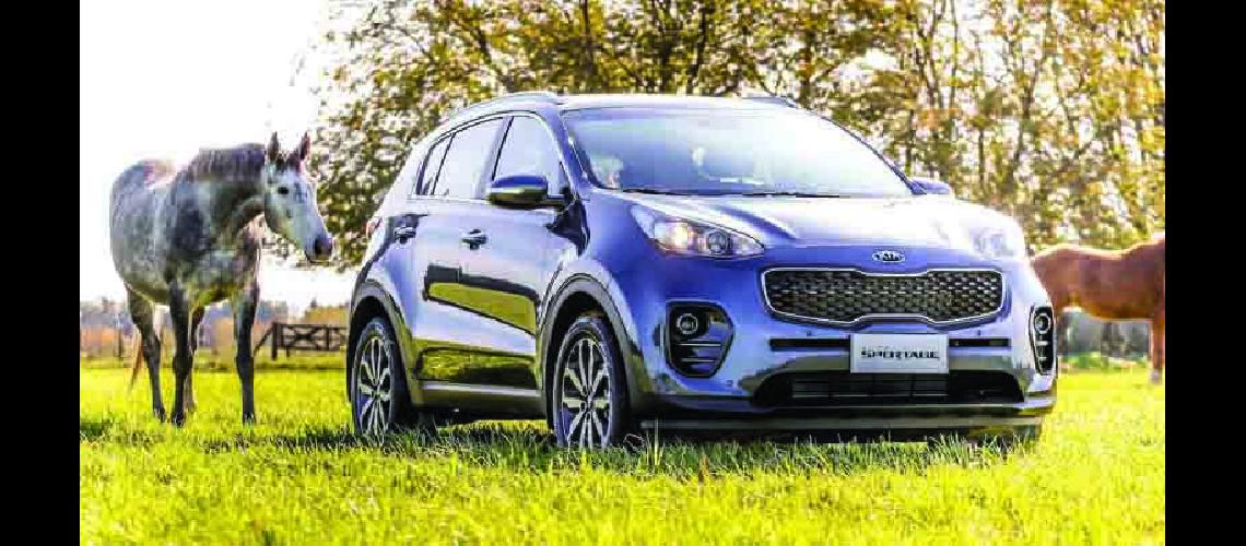  Kia Carnival Sportage  y Sorento 2017