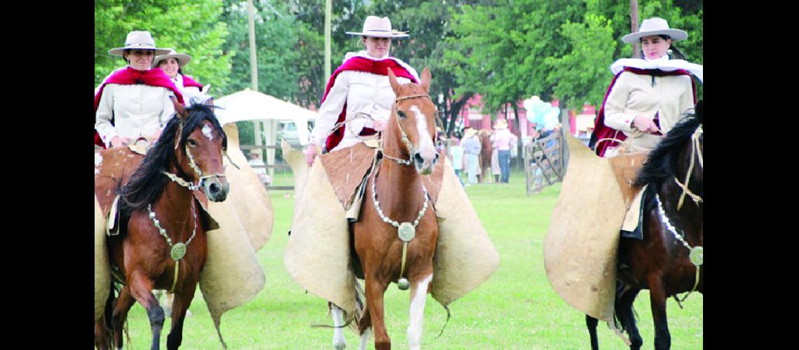 Concurso provincial de  caballos peruanos de paso