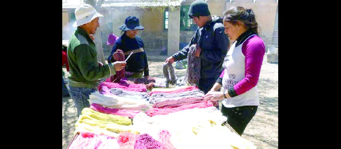 Tintildeen fibra de llama  con hortalizas 
