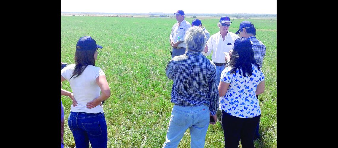 Produccioacuten Sustentable 