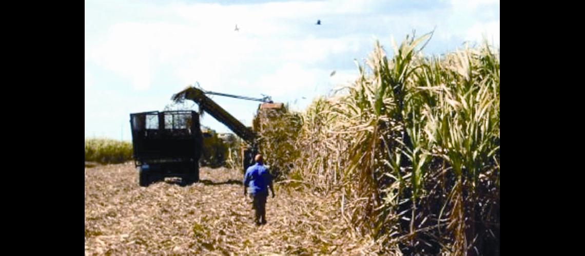 Las exportaciones de las economiacuteas regionales crecieron 22-en-porciento- 