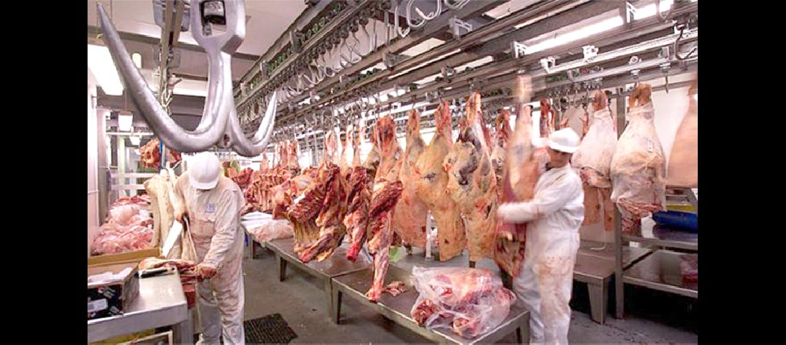  Brasil detecta  problemas sanitarios  en muestras de carne 