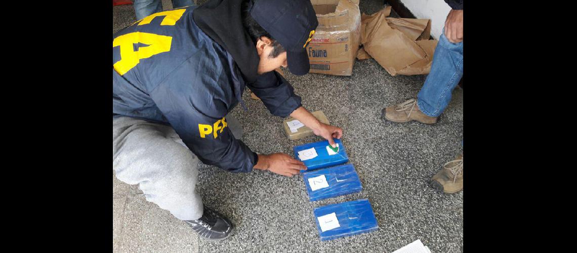 Decomisan cuatro kilos de cocaiacutena en Yala