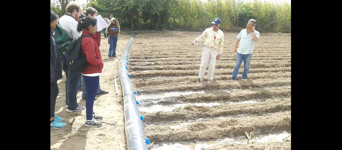 Promueven el uso de teacutecnicas de riego en los Pericos