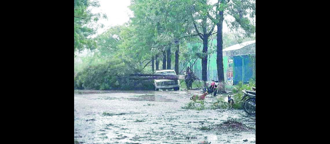 Temporal en el Ramal dejoacute destrozos y el anegamiento de calles