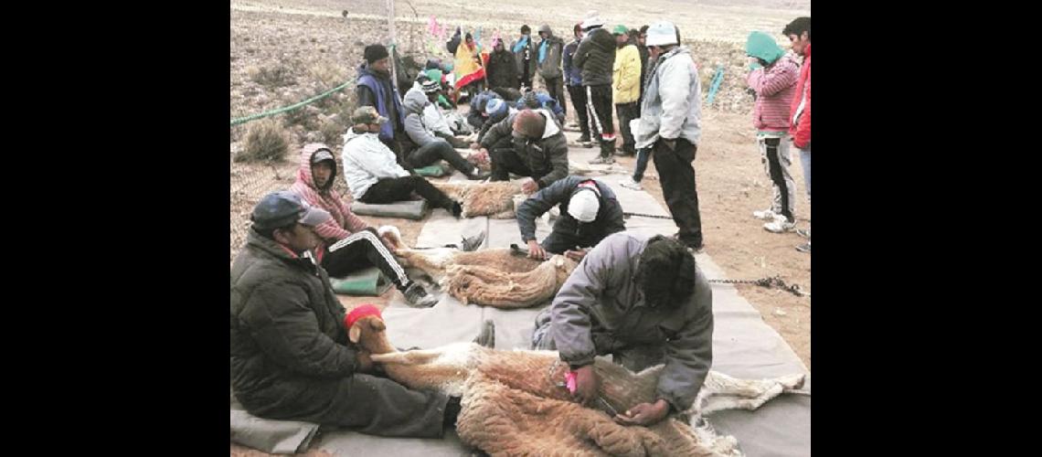 Comercializacioacuten de la Agricultura Familiar en Jujuy