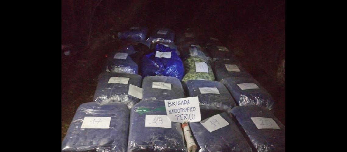 Maacutes de 400 kilos de hojas de  coca fueron secuestradas 