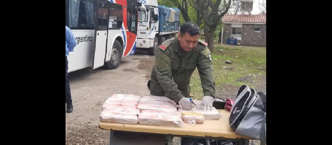 Decomisan en San Pedro casi 15 kilos de marihuana