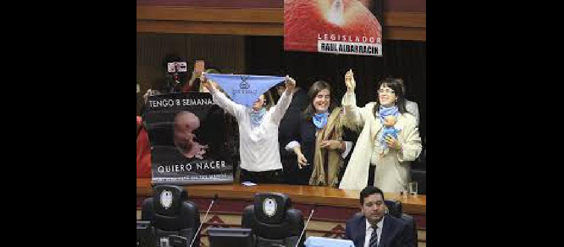 Tucumaacuten pretende una ley que prohiba el aborto en caso de violacioacuten