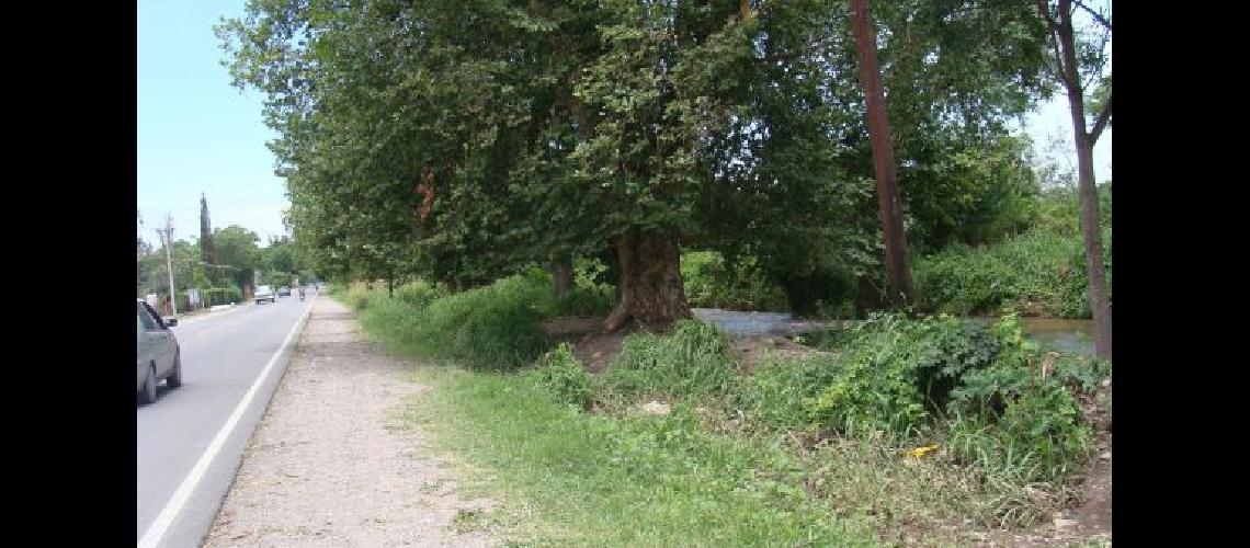 Una pequentildea murioacute ahogada al caer a un canal de Monterrico