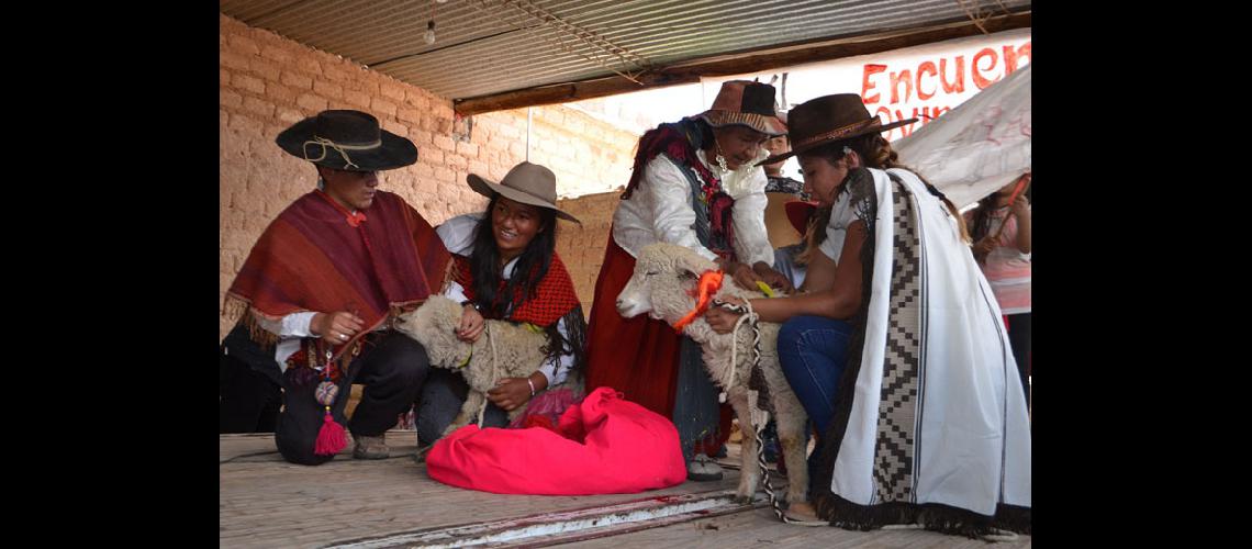Anticipo del Carnaval en el Encuentro del ovino y la copla