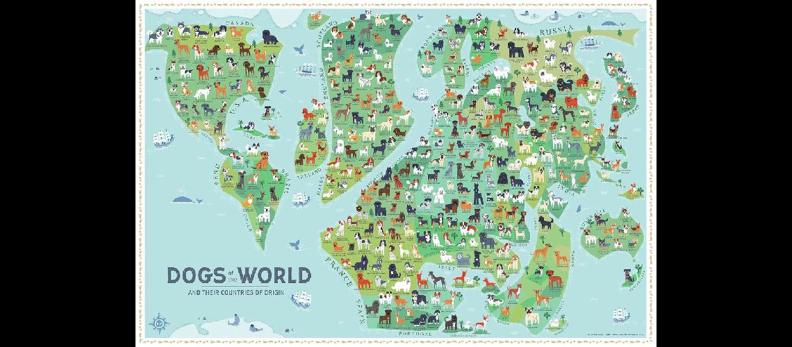 El mapa de Los perros del mundo que se hizo viral