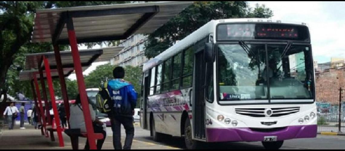 A partir de hoy habraacute  transporte de colectivos 