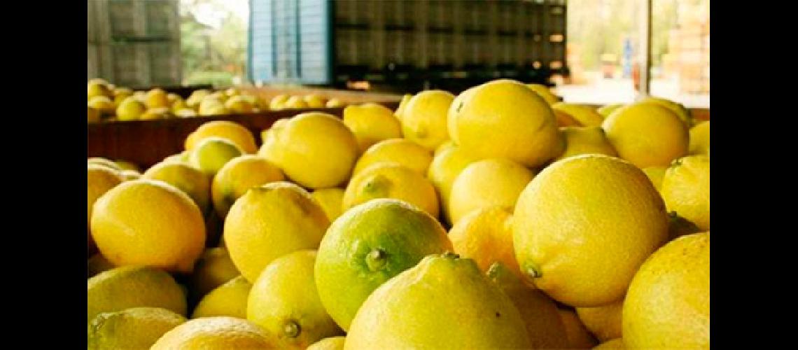 Una citriacutecola internacional produciraacute limones en Jujuy