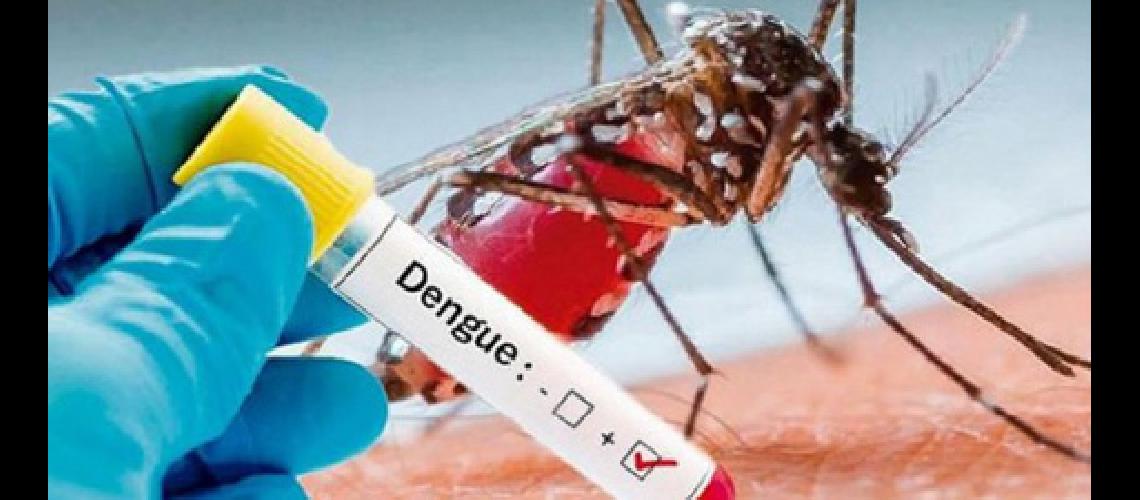 Ya son cinco los casos  de Dengue en la provincia