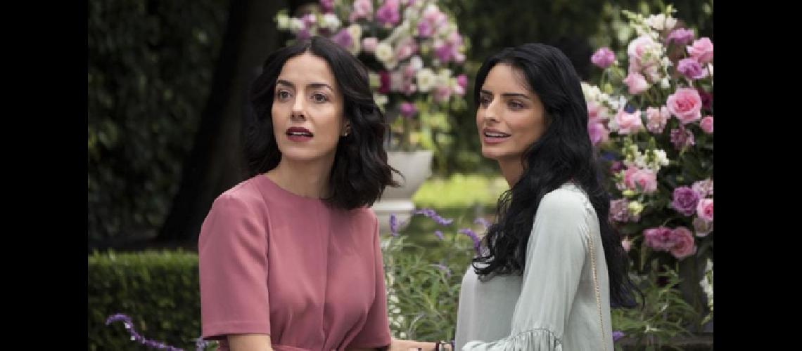La casa de las flores tendraacute nuevas temporadas