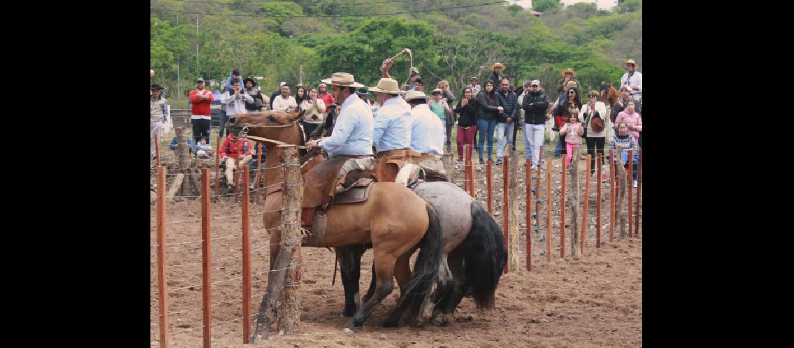 Declararon de intereacutes exposicioacuten  de caballos criollos