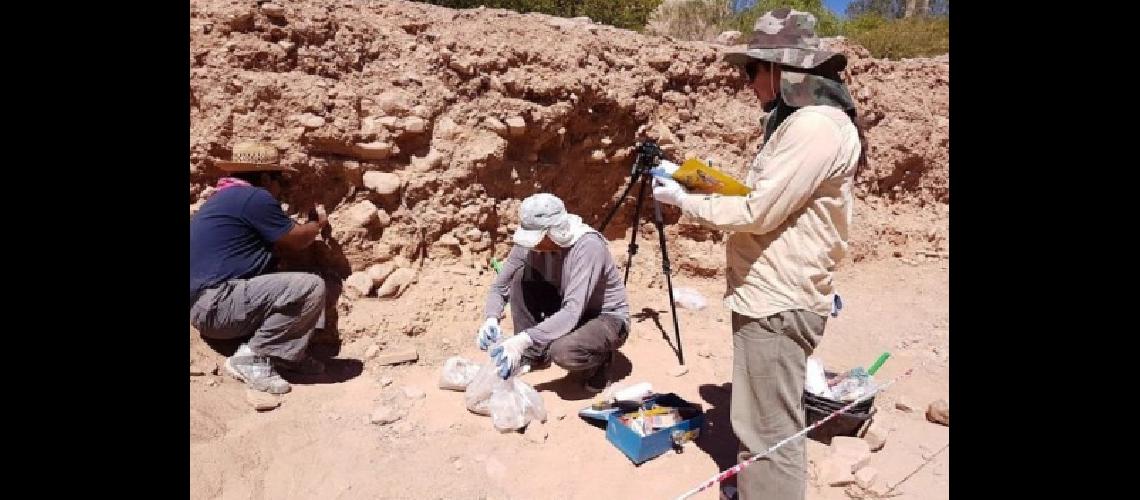 Hallaron restos humanos que corresponden a la eacutepoca prehispaacutenica