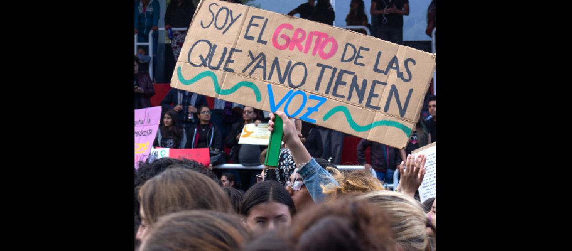 Unas 30 jujentildeas murieron por femicidio en los uacuteltimos cinco antildeos