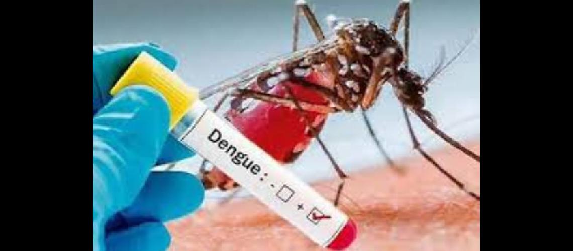 Confirman dos nuevos casos de Dengue importados