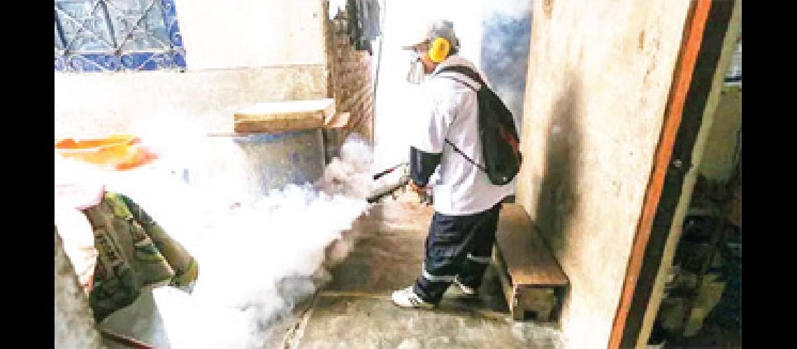 52 casos de dengue en Jujuy