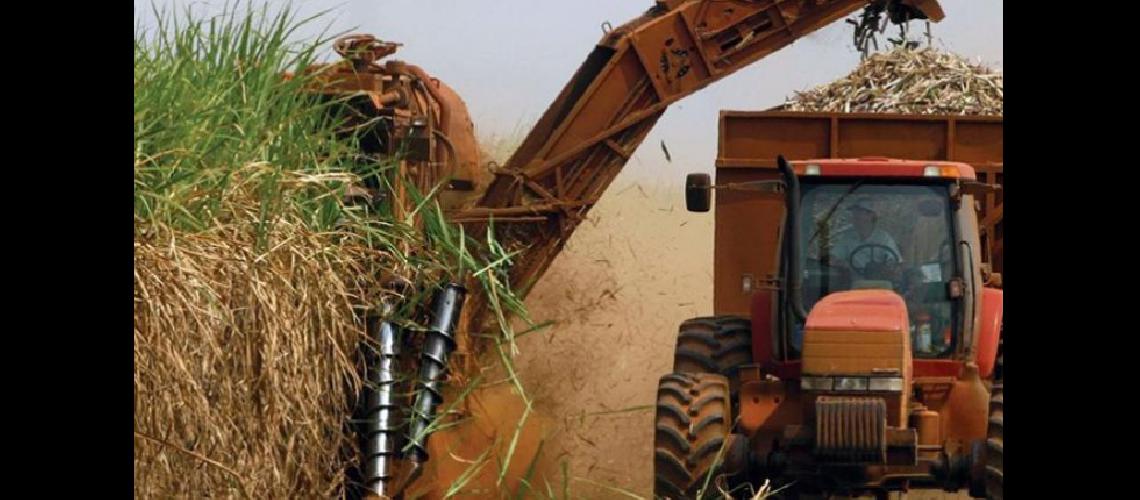 Avanzan tareas para la produccioacuten de azuacutecar y alcohol