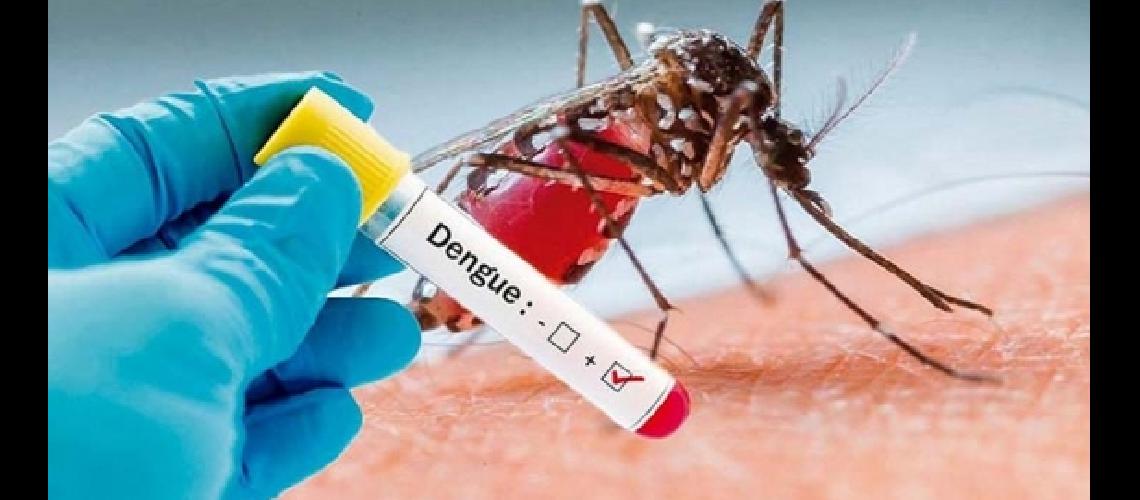 147Los casos de dengue no son oriundos de Palpalaacute148