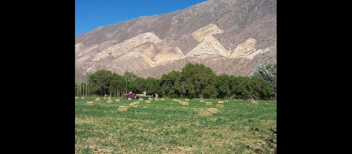 Huacalera toma recaudos por llegada de camiones