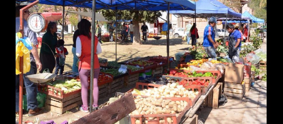 Retorna hoy la feria de abastecimiento vecinal