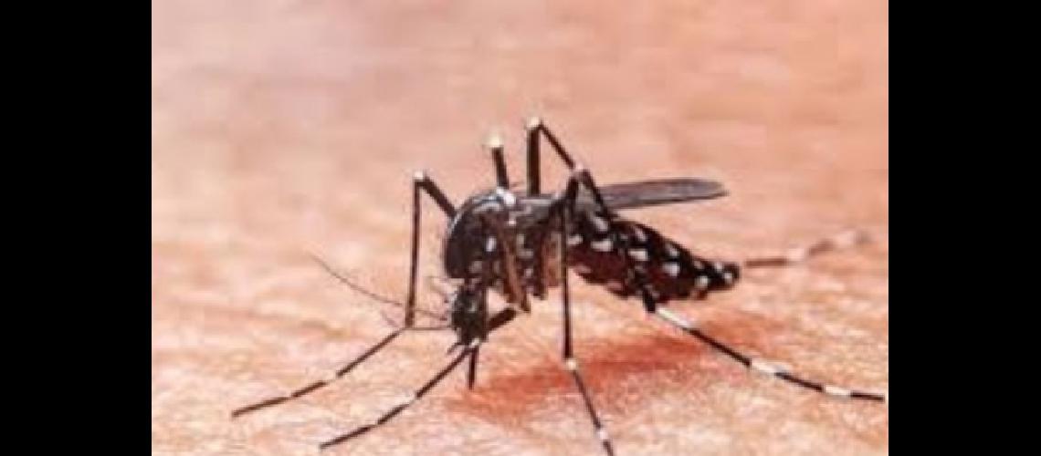 Intensifican descacharrado en Jujuy por los casos de dengue