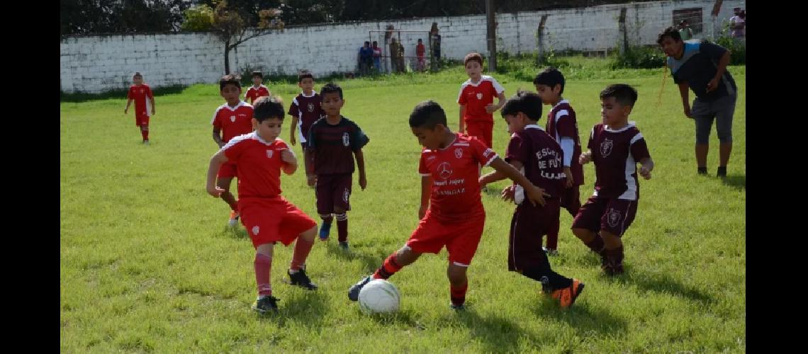 Las escuelitas de fuacutetbol no estaacuten habilitadas para volver