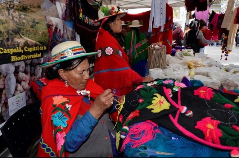 Otorgaraacuten subsidios a artesanos y artistas en situacioacuten criacutetica