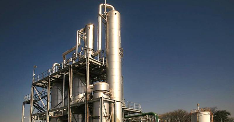 La produccioacuten de bioetanol se encuentra al borde del quebranto