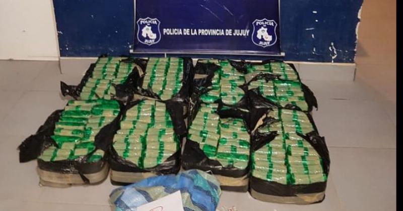 Secuestran 80 kilogramos de hojas de coca en La Quiaca