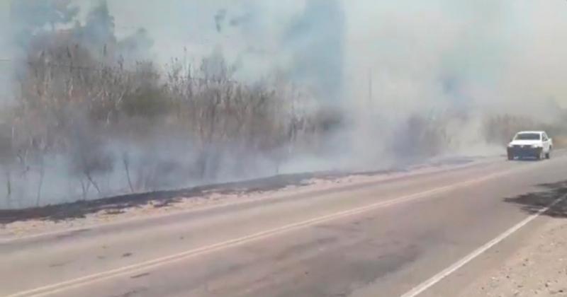 Un hombre murioacute en la ruta 56 al caer un aacuterbol que estaba ardiendo